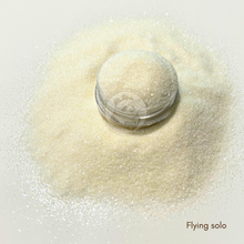 Load image into Gallery viewer, Flying Solo