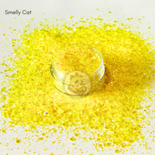 Load image into Gallery viewer, Smelly Cat