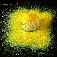 Load image into Gallery viewer, Smelly Cat