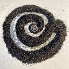 Load image into Gallery viewer, Shotgun Wedding