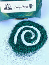 Load image into Gallery viewer, Fancy Plants