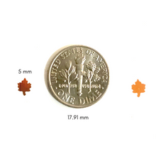 Load image into Gallery viewer, Autumn Leaves (set)