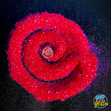 Load image into Gallery viewer, Fashionista