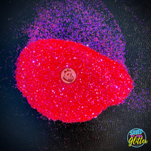 Load image into Gallery viewer, Fashionista